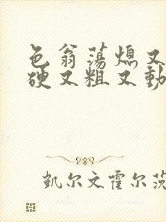 色翁荡熄又大又硬又粗又动态图