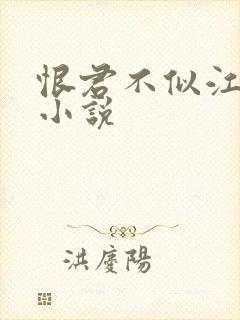 恨君不似江楼月小说