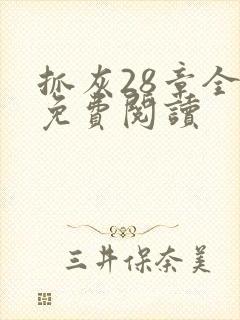 抓灰28章全部免费阅读