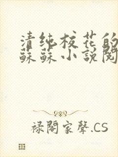 清纯校花的日常苏苏小说阅读全文