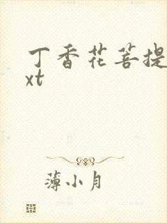 丁香花菩提树txt