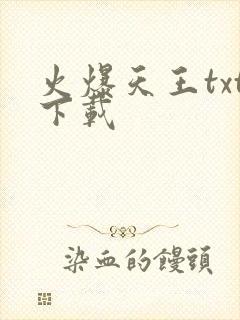 火爆天王txt下载