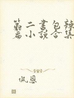 第二书包辣网短篇小说合集