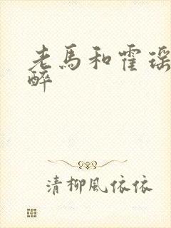 老马和霍瑶瑶喝醉