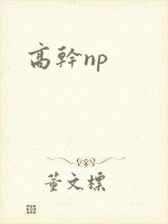 高干np