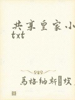 共享皇家小公主txt
