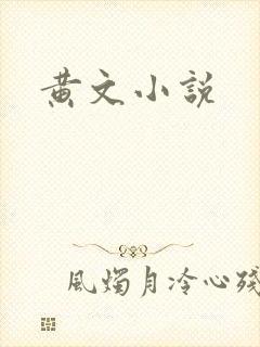 黄文小说
