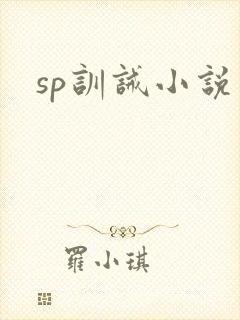 sp训诫小说