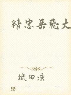 精忠岳飞大结局