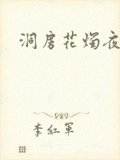 洞房花烛夜小说