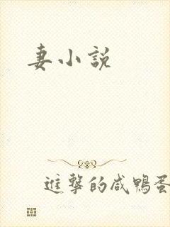 妻小说