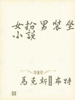 女扮男装坐江山小说