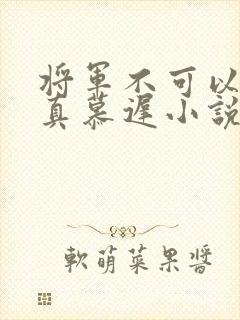 将军不可以魏云真慕迟小说笔趣阁