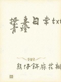撩妻日常txt青灯