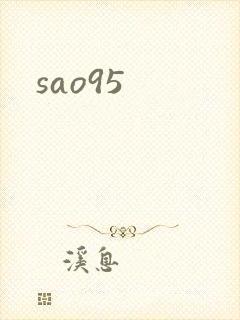 sao95封面