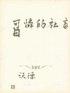 可怜的社畜东度日
