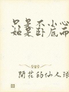 只是不小心发现她是卧底而已