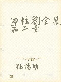 田柱刘金凤小说第二章