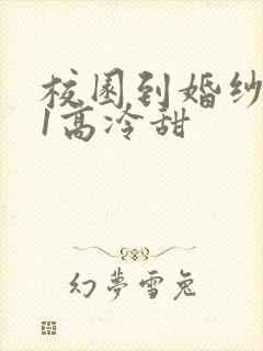 校园到婚纱1V1高冷甜