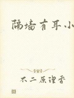 隔墙有耳小说封面