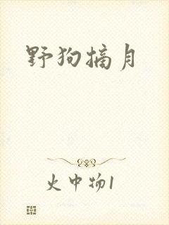野狗摘月