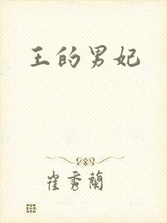 王的男妃