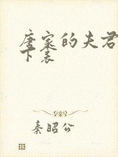 唐家的夫君们帘下衾