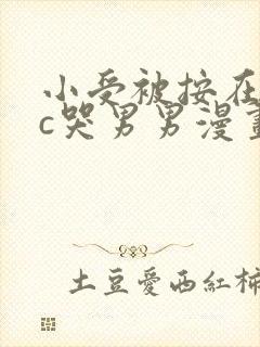 小受被按在墙上c哭男男漫画