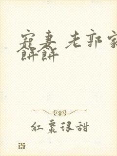 宠妻 老郭家的饼饼