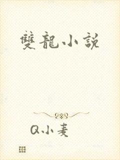 双龙小说