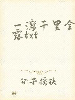 一泻千里金银花露txt