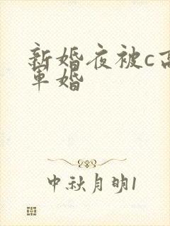 新婚夜被c高h军婚