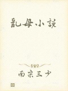 乱母小说