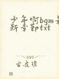 少年啊bgm最新章节txt