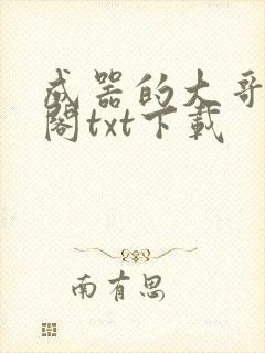 成器的大哥笔趣阁txt下载