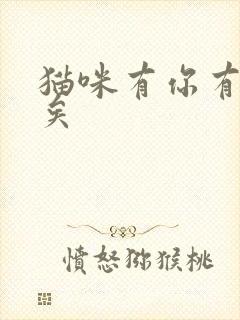 猫咪有你有我足矣