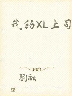 我的XL上司