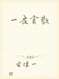 一夜贪欢