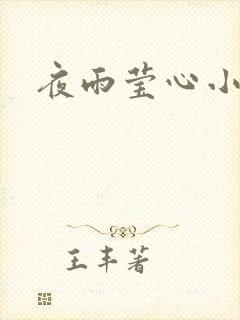 夜雨莹心小说