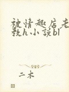 被情趣店老板调教h小说bl