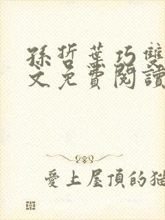 孙哲叶巧双修全文免费阅读笔趣阁