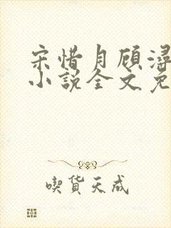 宋惜月顾浔渊的小说全文免费阅读