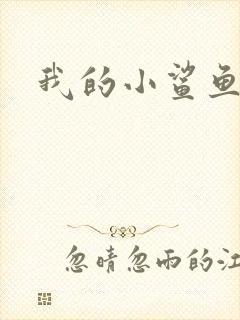 我的小鲨鱼