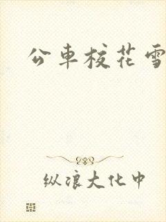 公车校花雪柔h