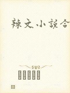 辣文小说合集