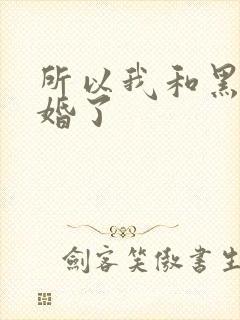 所以我和黑粉结婚了