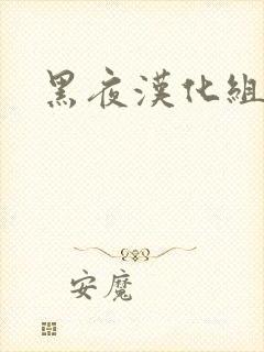 黑夜汉化组