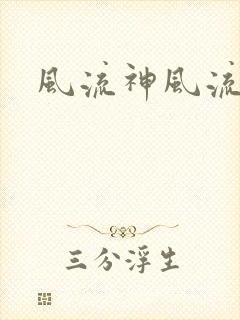 风流神风流记