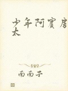 少年阿宾房东太太