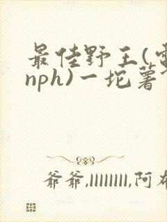 最佳野王(电竞nph)一坨薯饼